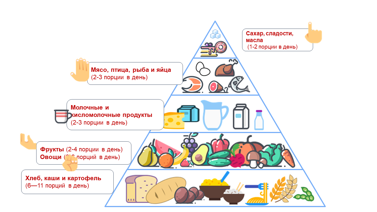 Рацион питания - это набор пищевых продуктов, которые человек употребляет каждый день!