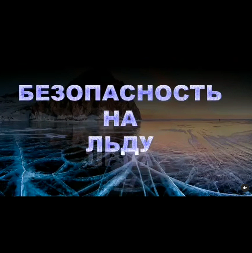 #94школагимназия
