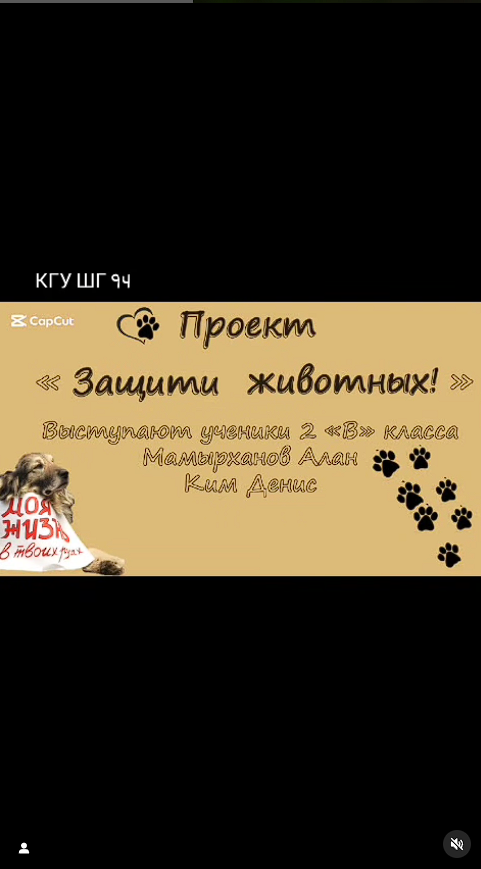 Юные защитники животных из 3 В представляли свой проект.